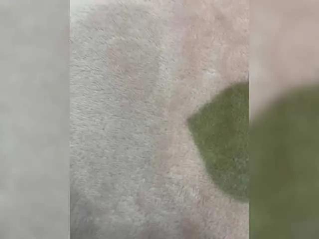 Offline puppy19 on BongaCams