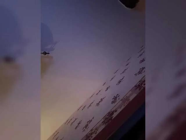 Offline Rinaaamur on BongaCams