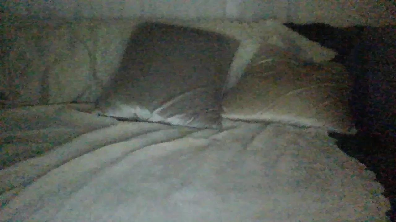 Offline AktOnly on Cam4