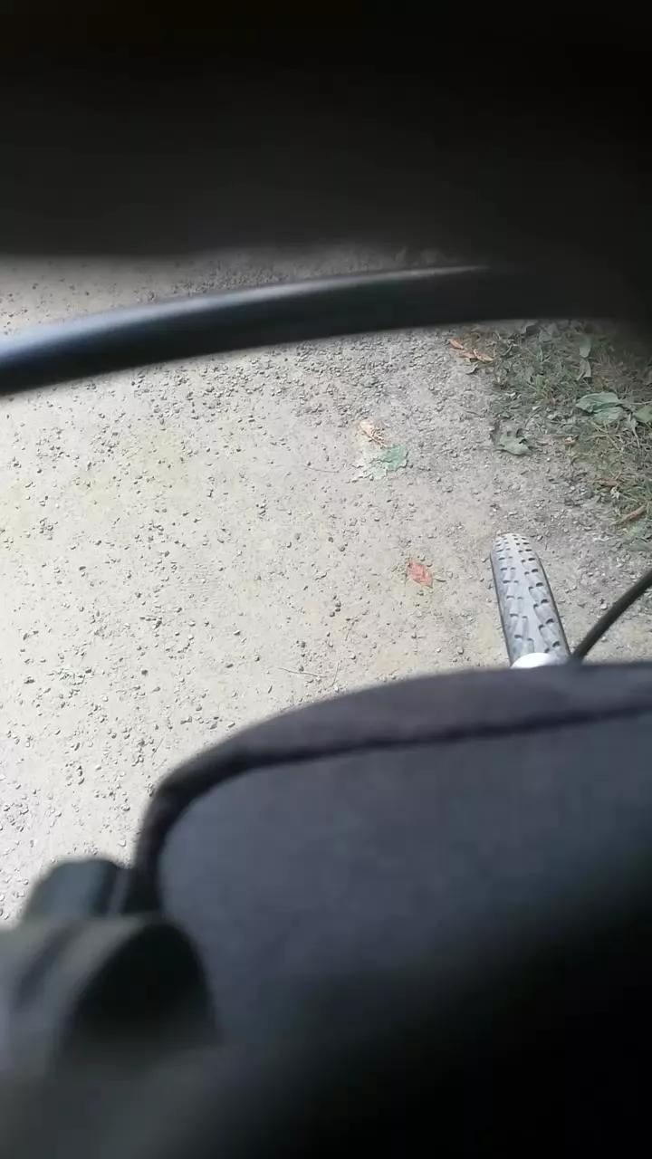 Offline bernadetadwt on Cam4