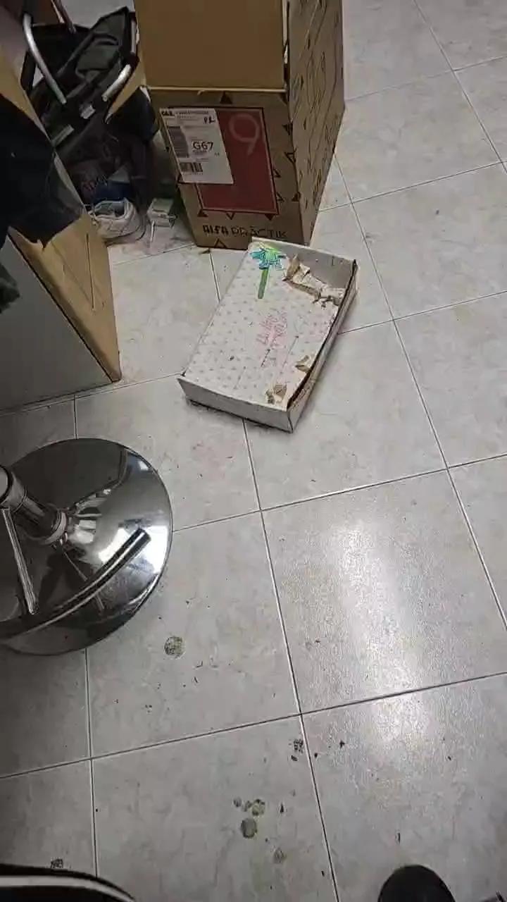 Offline evaristoelrey4 on Cam4