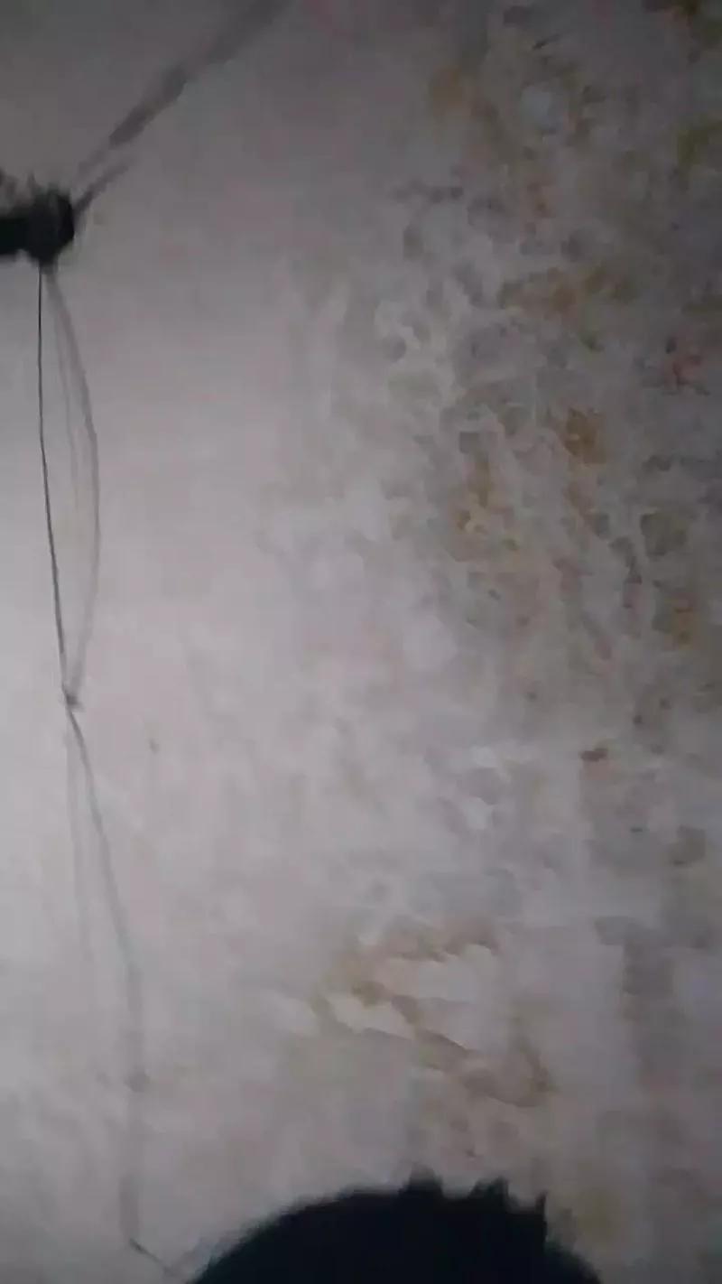 Offline Guadalupe20 on Cam4