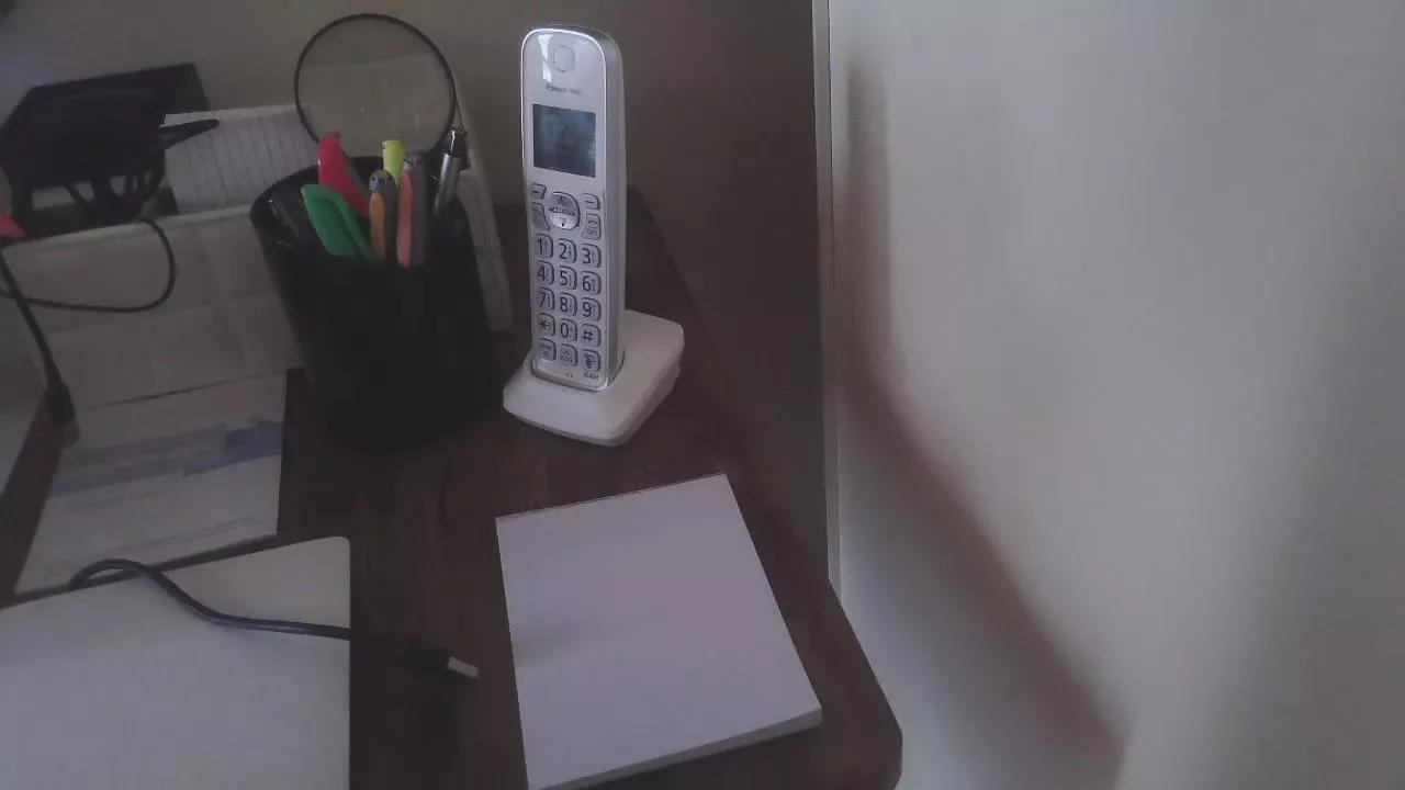 Offline JANININA on Cam4