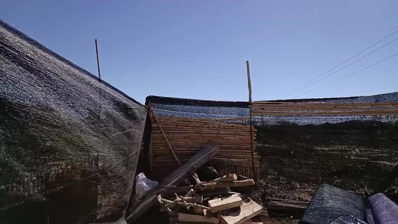 Offline Miss_fantasy_ on Cam4