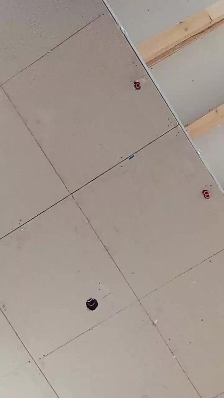 Offline Nativo8 on Cam4