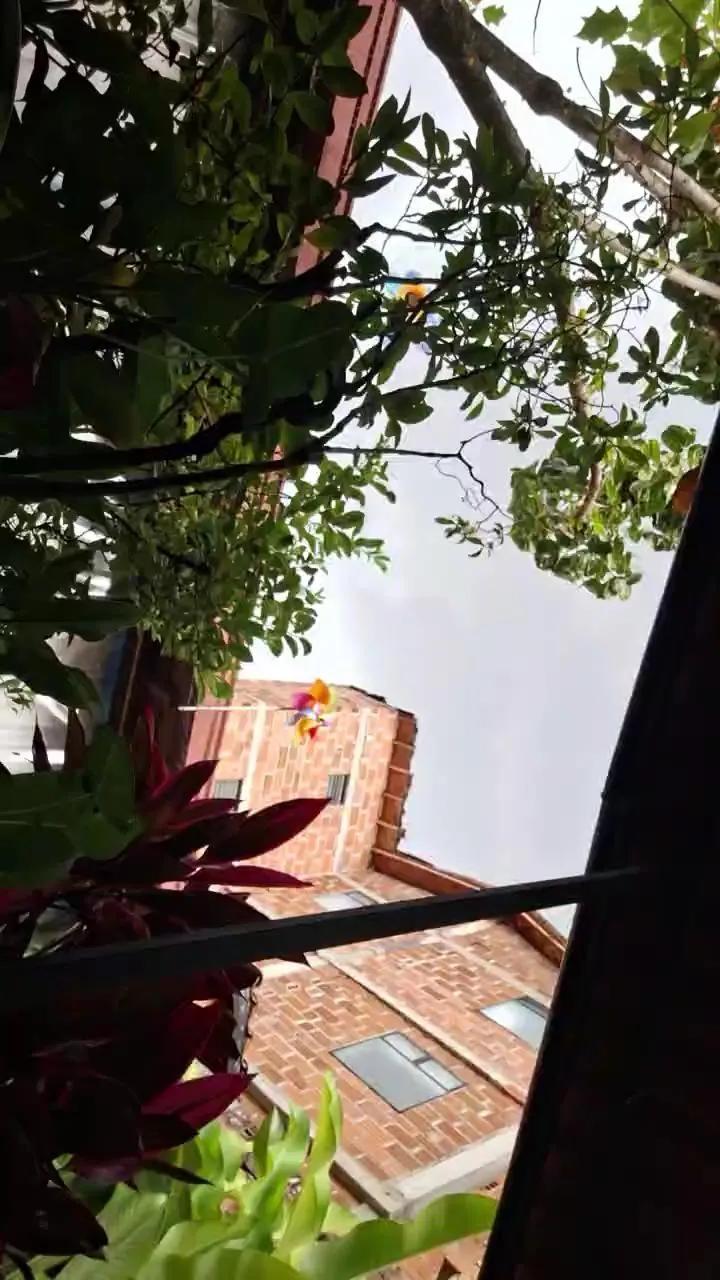 Offline PieldeChocolate on Cam4