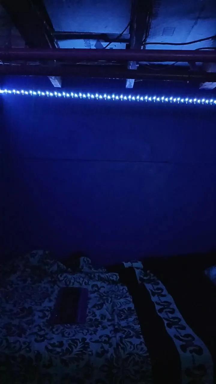 Freechat purplediamond79 on Cam4