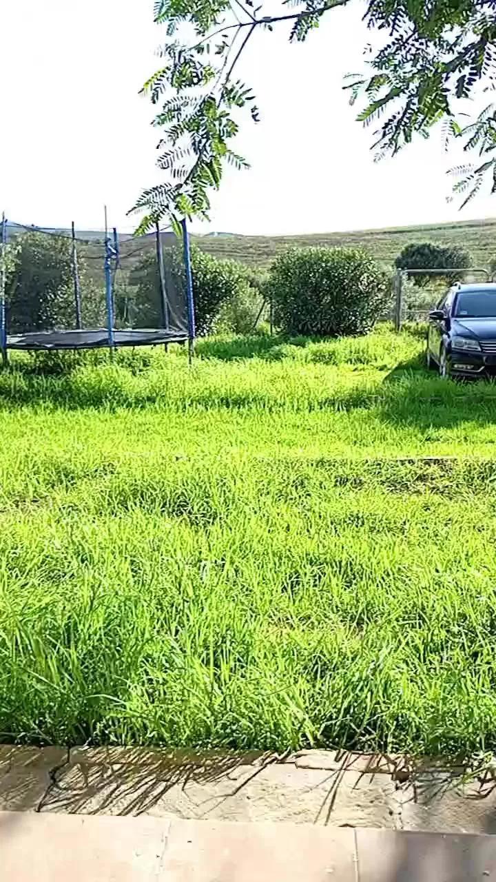 Offline Tamara093 on Cam4