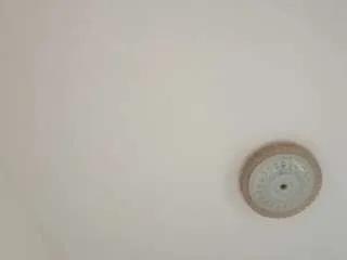 Offline amalarabic on CamSoda