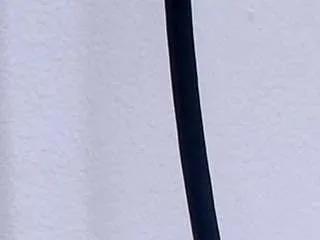 Freechat ani-shaa on CamSoda