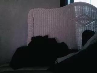 Offline bee-eazyquinn on CamSoda