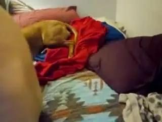 Offline hoggbody on CamSoda