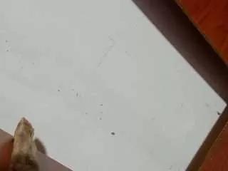 Offline kenia-oz on CamSoda