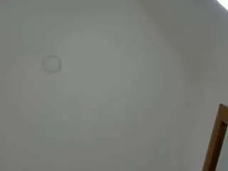 Freechat kimberlin-cam44 on CamSoda