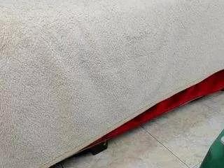 queen-antonella-oficial on CamSoda 