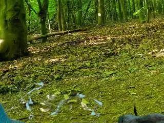 Offline sansastaark on CamSoda