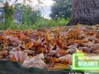 Offline sansastaark on CamSoda