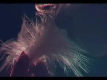 Freechat taanni_bc on Chaturbate