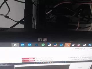 Offline dominic_taylor on Flirt4Free