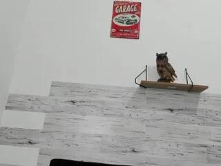 Offline james_cree on Flirt4Free