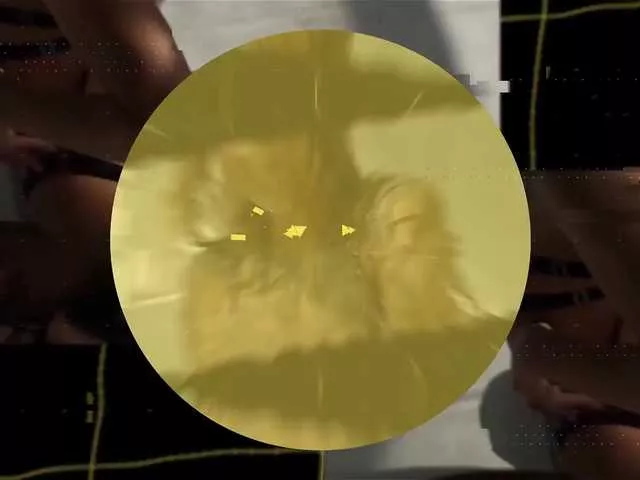 Offline Foxe-Sailey on BongaCams