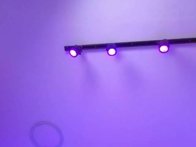 MaiaWatson on BongaCams 