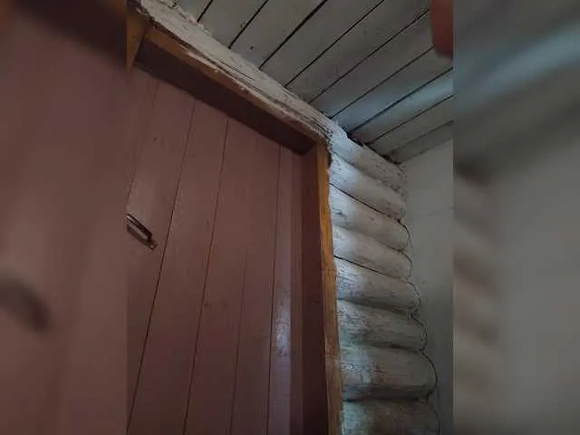 Mussypussy222 on BongaCams 