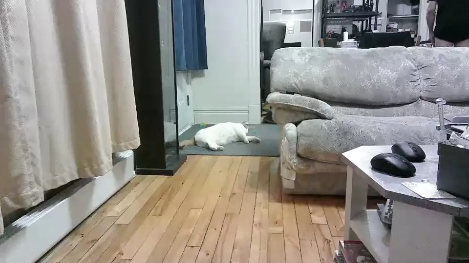 batmike — Freechat on Cam4