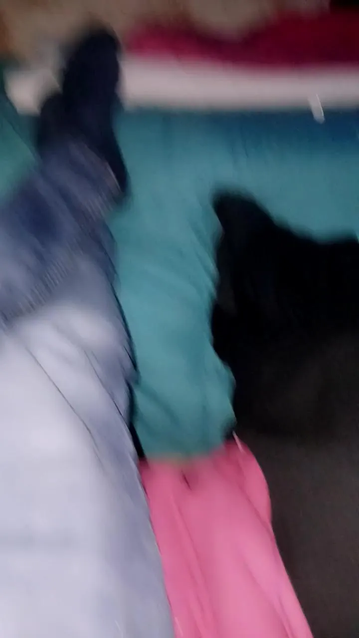 Scalareale66 on Cam4