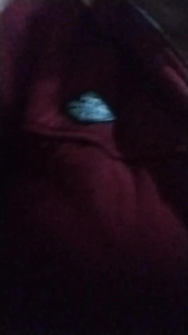 WineBee — Freechat on Cam4