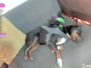 burbuja_cosmic on Chaturbate 