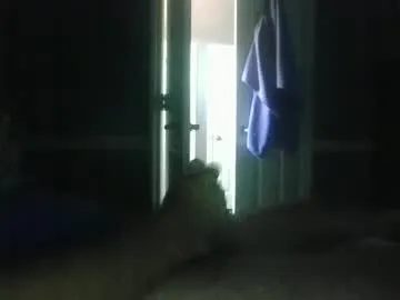 wimpbrad1 — Wimpbrad1's room #sph #jerkoff #cumeating #anal  #humiliation