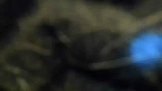 StripChat ALPHA_DOMINUS_ is Freechat ALPHA_DOMINUS_ — LET OUT YOUR HOT CUM MR