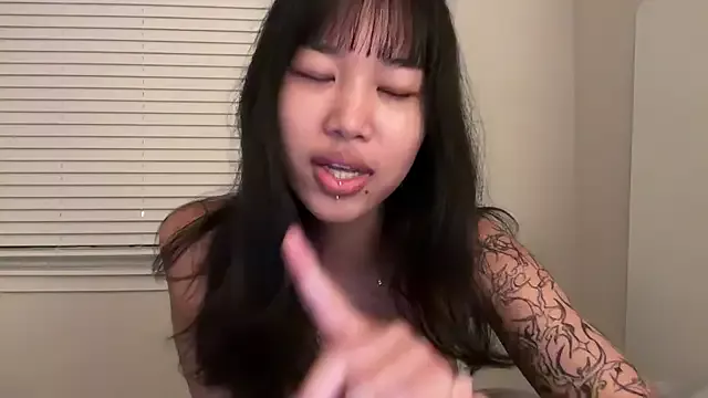 Freechat donna_creamteam on StripChat