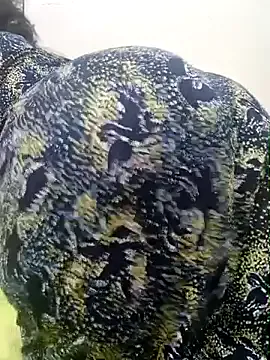 Mama_Queeen on StripChat 